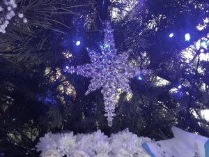 IMG_4807