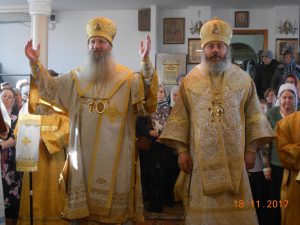image (14)