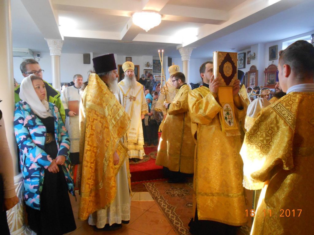 image (15)