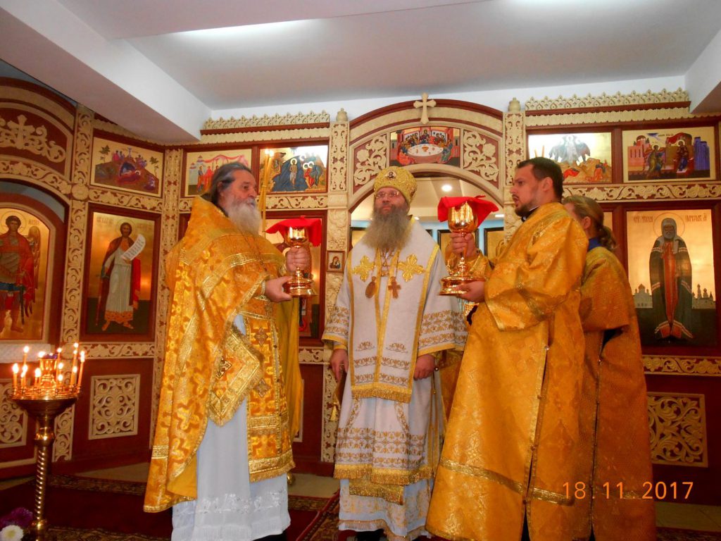 image (17)