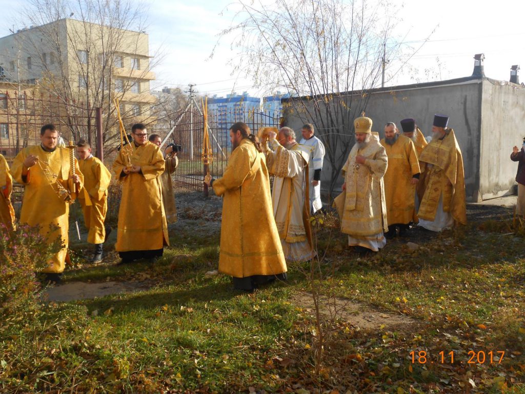 image (6)