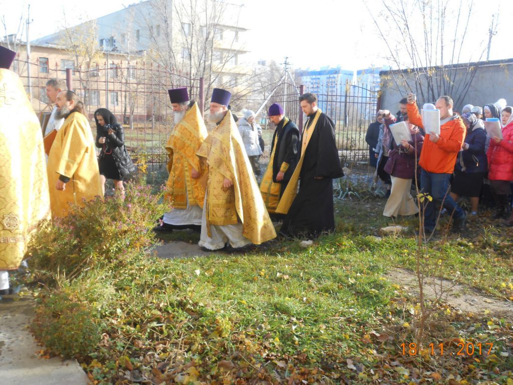 image (7)