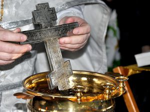 image (16)